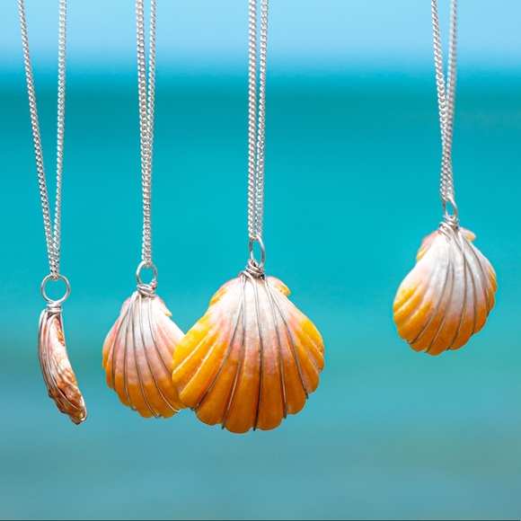 Stunning Freshwater Sunrise shell necklace - Picture 4 of 8